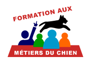 Formation en comportementaliste et éducateur canin