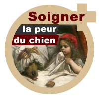 Soigner la peur du chien