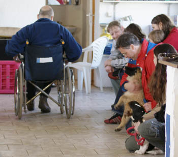 Cours chiot