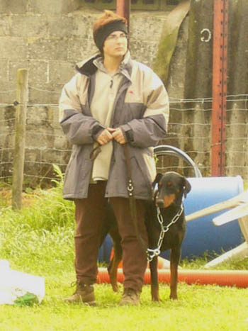 individuel dobermann
